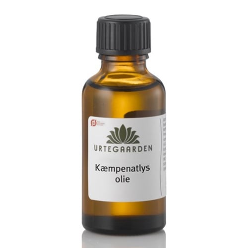 Kæmpenatlysolie (GLA) Øko. - 100 ml.