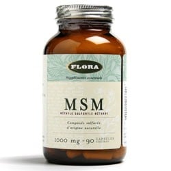 MSM Tilskudsfodder til hunde 1000 mg. - 90 kaps.