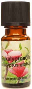 Unique Eukalyptusolie - 100 ml.