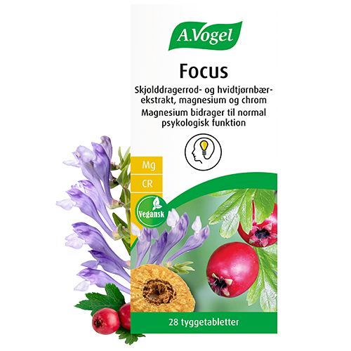 Vareprøve - A. Vogel Focus (28 tyggetabl) Bedst Før 12/2025