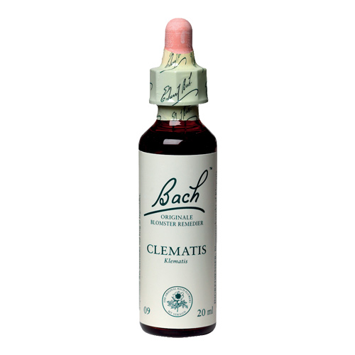 Bachs Klematis (Clematis) - 20 ml.