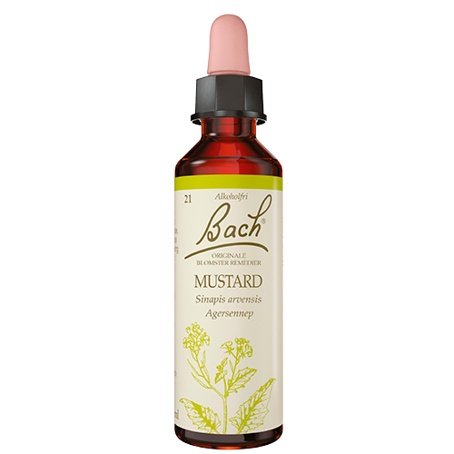 Dr. Bach Agersennep Dråber (10 ml)